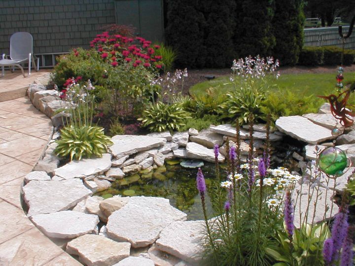 japanese style backyard garden with koi pond