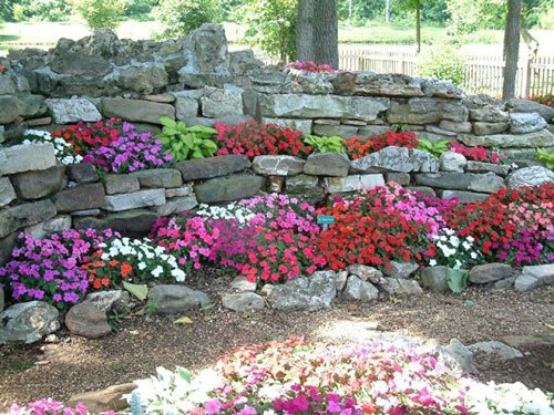 backyard garden with colorful flowers