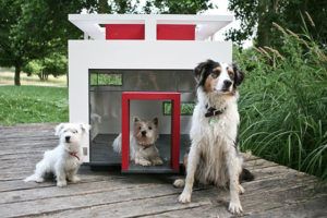 15 Cool Dog Houses For Your Furry Friend - Housely