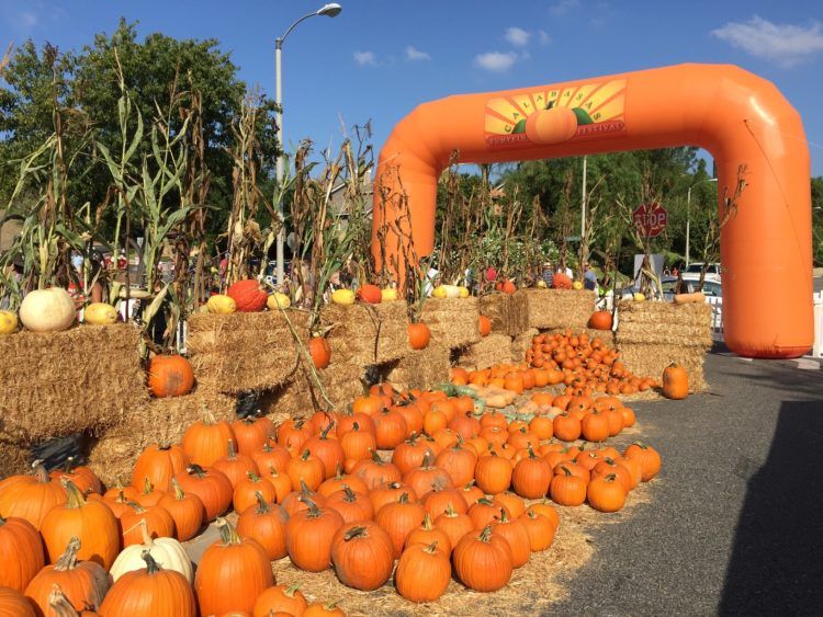 calabasas pumpkin festival