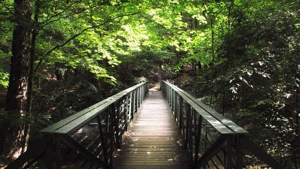 park in raleigh nc