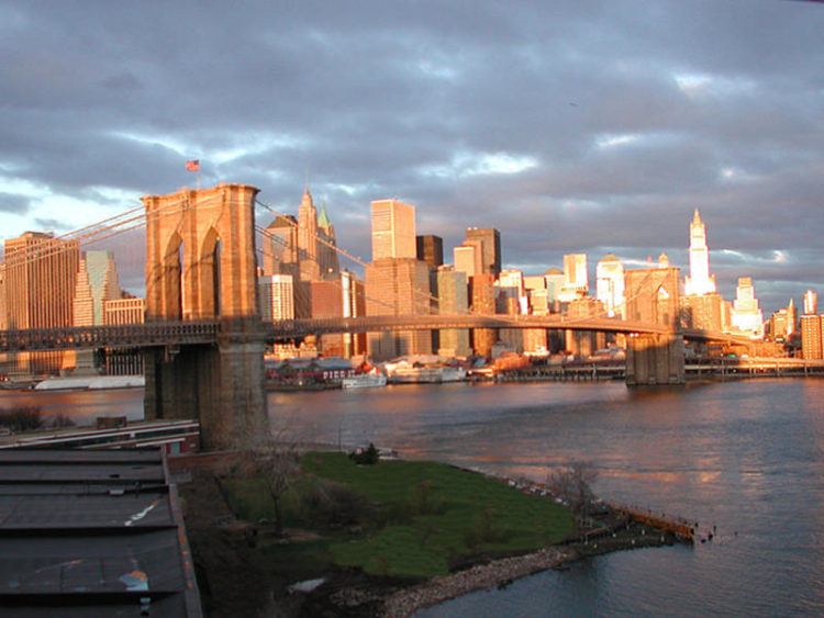 view of brooklyn ny