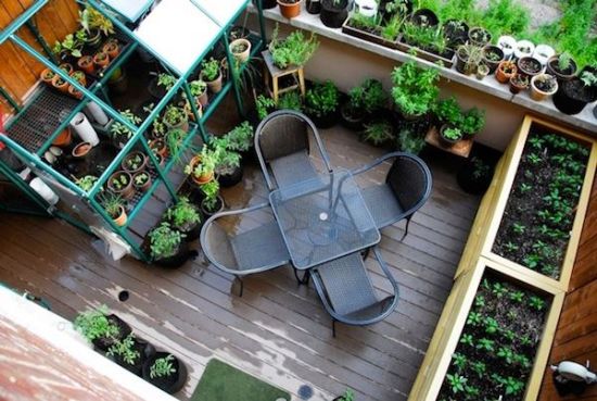 small backyard garden area 