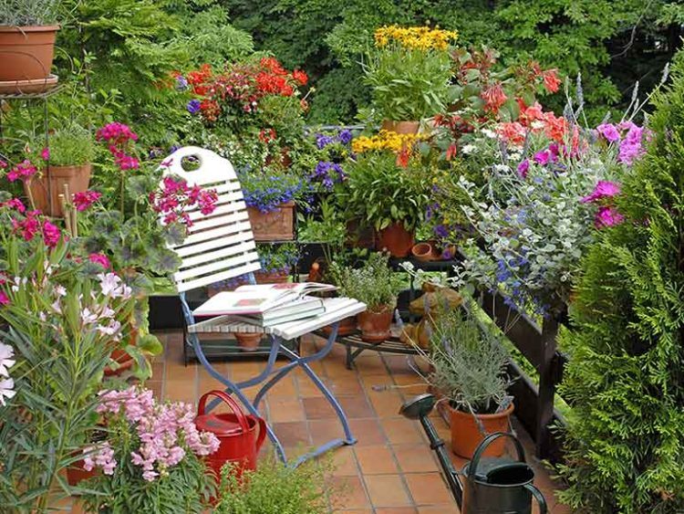 colorful garden with sitting area