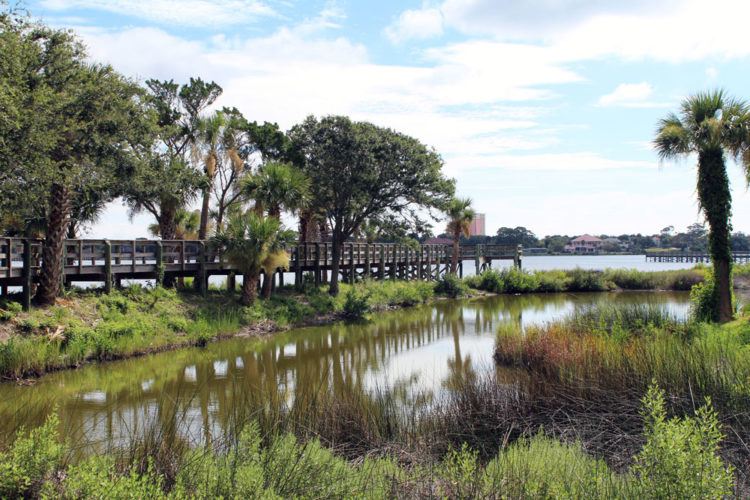 beautiful park in florida