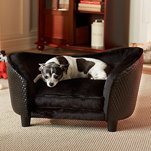 10 Awesome Dog Chairs To Keep Your Pet Comfy Housely   51Jhjod5kwL 