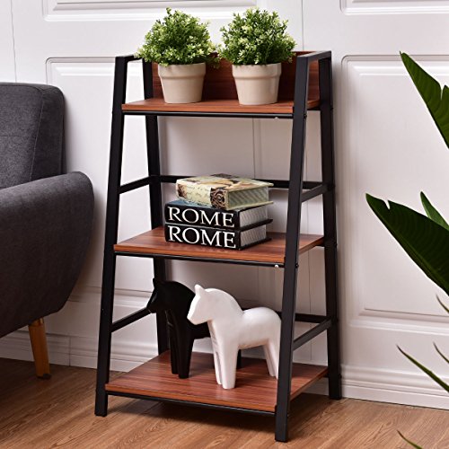 storage ladder shelf