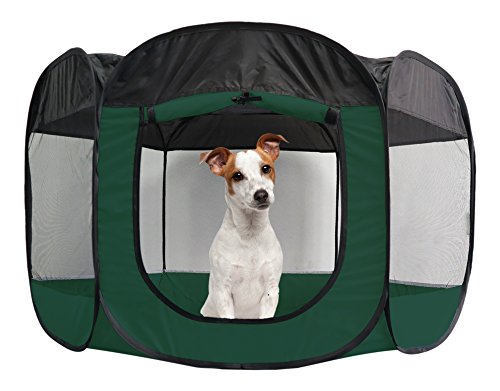 10 Of The Best Dog Playpens For Your Pet - Housely