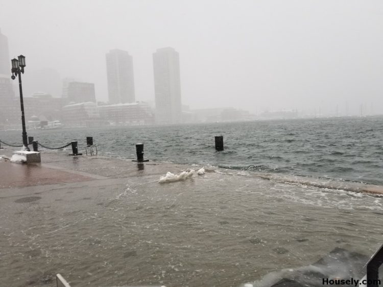 Fan Pier Boston Harbor Flooding