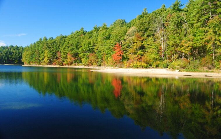 Middlesex County MA: A Comprehensive Guide to Living and Working - Housely