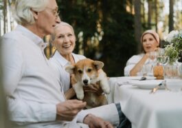 most loyal dog breeds