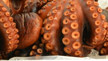 brown donuts on white paper