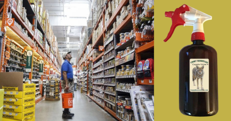 15 Items Home Depot Sells That May Surprise You