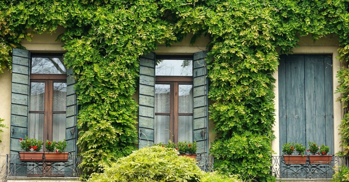 Picture of 15 Environmentally Friendly Materials for Home Renovation - Housely