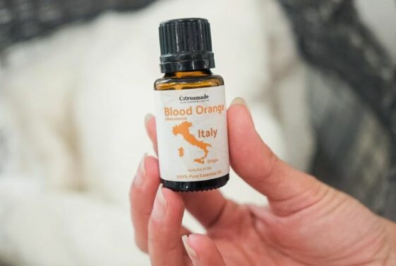 The 4 Best Bug Repellents and Sprays of 2026 | Reviews by Wirecutter