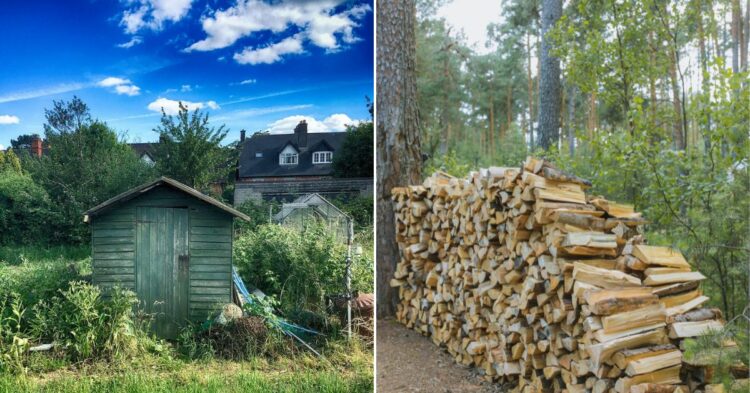 15 Tips for Choosing the Toughest Wood for Your Outdoor Shed