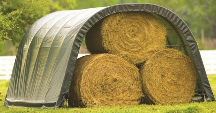 10 Easy-To-Assemble Bunkhouses And Sheds For Your Backyard