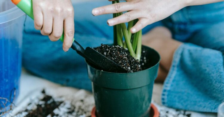 10 Simple Ways to Build the Perfect Gardening Toolkit