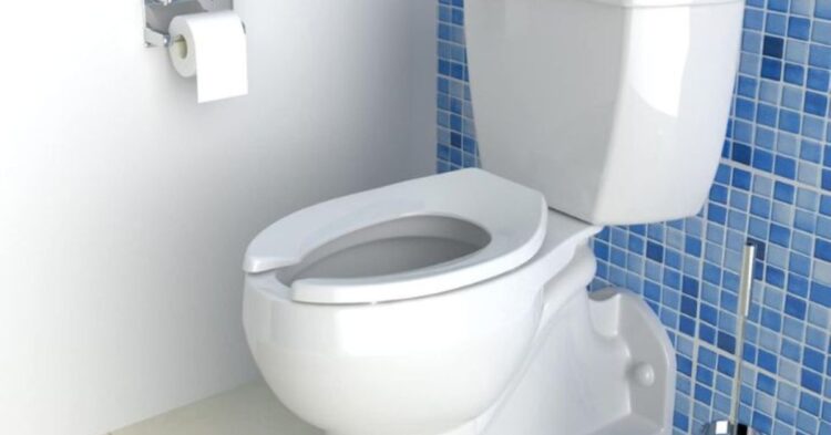 Why Do Toilet Seats Have Gaps? 10 Practical Reasons You Never Knew