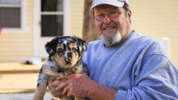 dog dangers in the outdoors