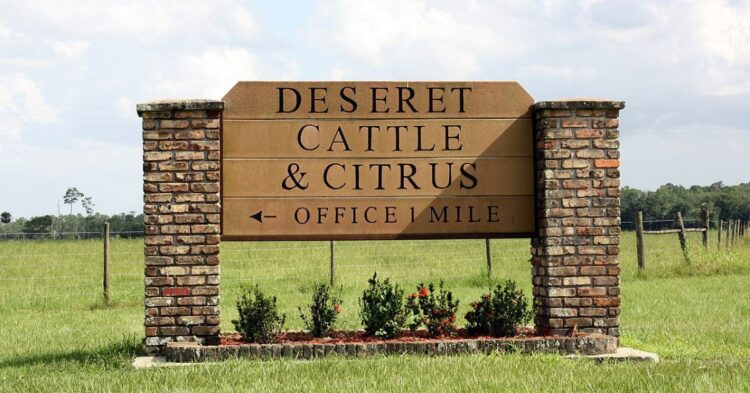 The 10 Largest Ranches Shaping American Farming