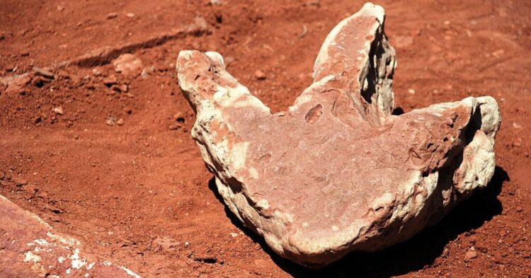 10 Things to Know About the Prehistoric Footprints Found in the Alps