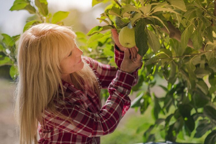 woman apple picking