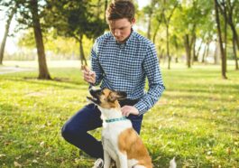 men's white and blue gingham dress shirt