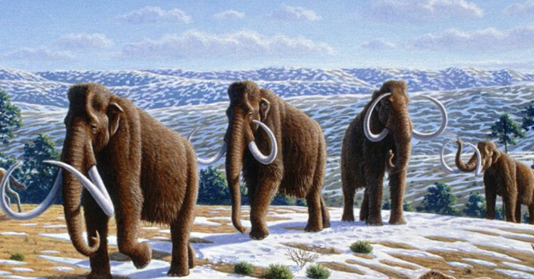 10 Extinct Creatures That Once Roamed America