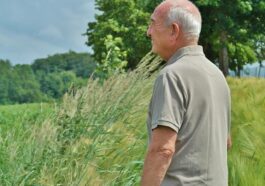 man, human, senior, pensioners, older, vital, vitality, friendly, outdoors, summer, portrait, sun, nature, trees, enjoy, to stroll, watch, smile, feel, mood, break, landscape, heaven, meadow, spring, panorama, outlook, rest, senior, older, older, older, older, older, vitality, vitality, vitality