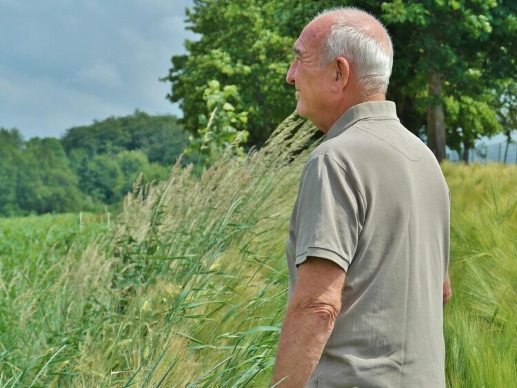man, human, senior, pensioners, older, vital, vitality, friendly, outdoors, summer, portrait, sun, nature, trees, enjoy, to stroll, watch, smile, feel, mood, break, landscape, heaven, meadow, spring, panorama, outlook, rest, senior, older, older, older, older, older, vitality, vitality, vitality