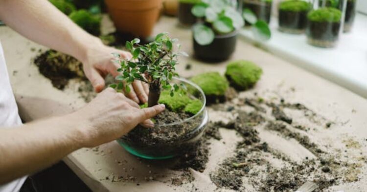 20 Everyday Items You Can Repurpose As Planters