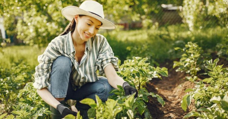 20 Gardening Tips To Welcome Spring