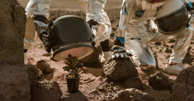 20 Crops That Could Handle Martian Soil And Climate