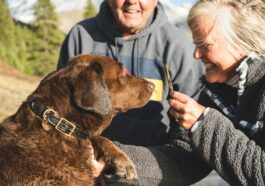 Dogs for seniors