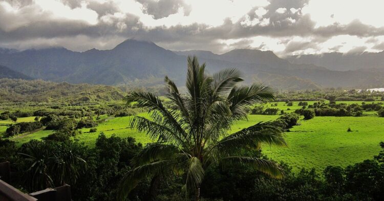 20 Small Towns In Hawaii Known For Their Quiet Charm