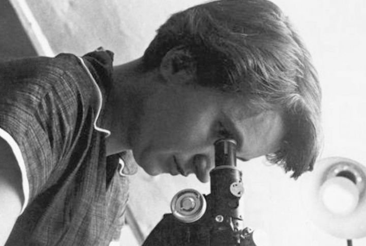 Rosalind Franklin

