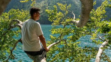 man, lake, branch, sea, travel, nature, leisure