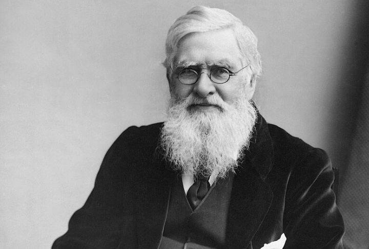 Alfred Russel Wallace
