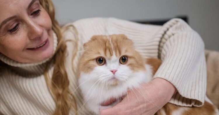 Cat Behaviors That Reveal How Strong Your Bond Really Is