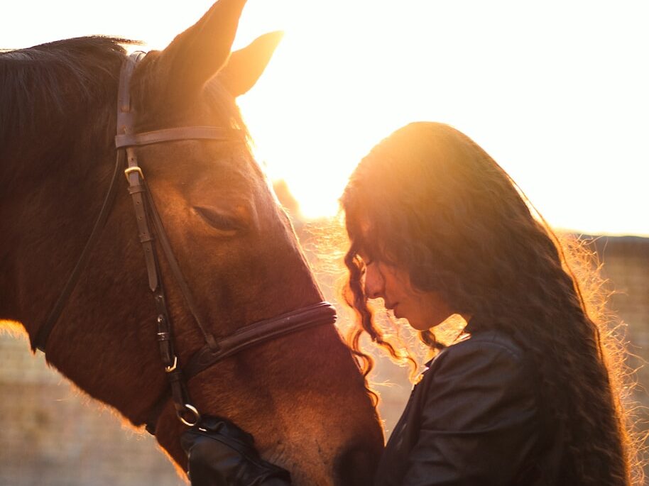 woman in black leather jacket riding brown horse during daytime