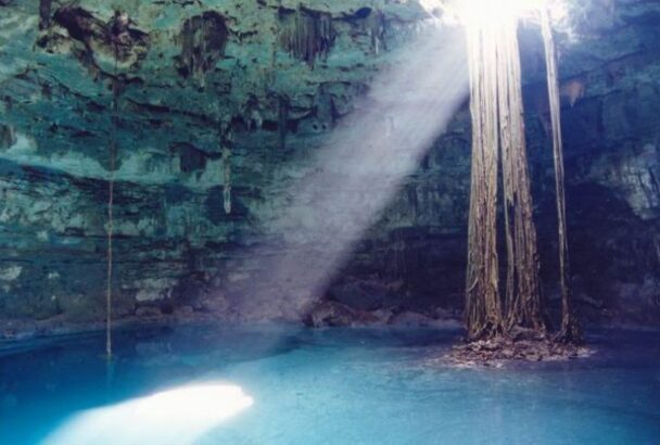 Debunking 15 Common Myths About Coyotes in North America Biology Diagrams