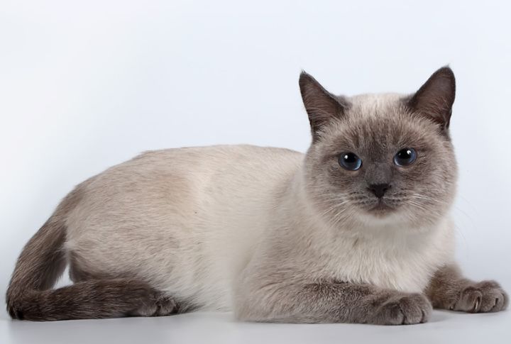 They’ve Inspired Ancient Superstitions