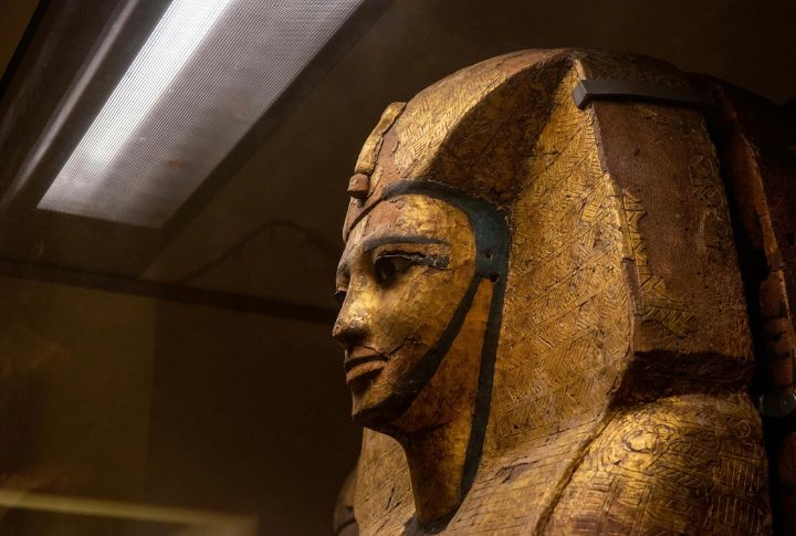 The Pharaohâs Eternal Curse