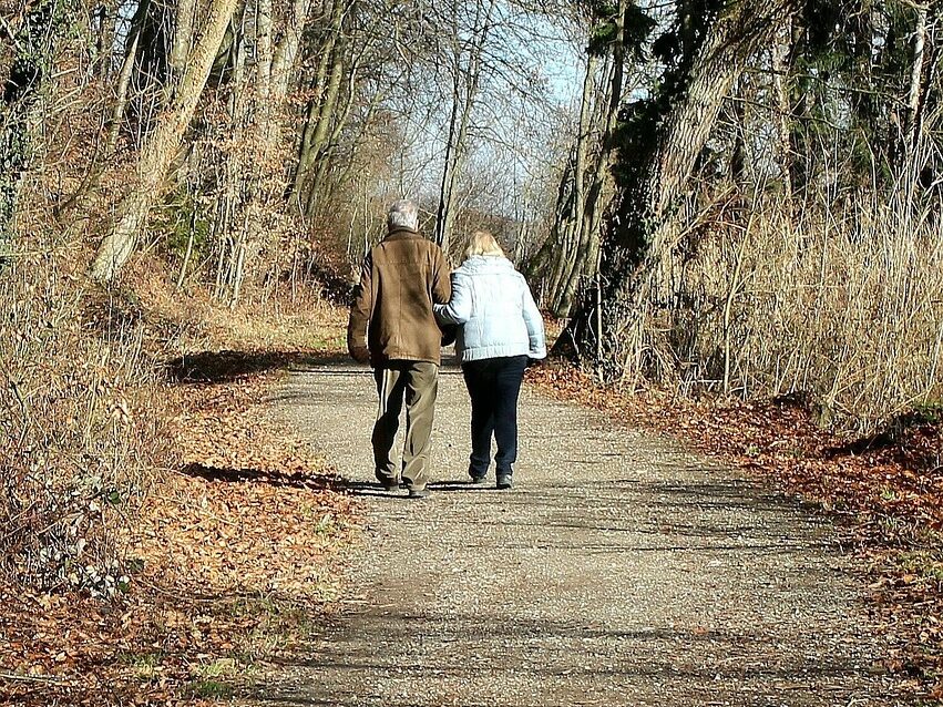 nature, path, walk, harmony, hand in hand, arm-in-arm, people, pair, togetherness, together, as a couple, older, old, relationship, man and woman, silhouettes, lovers, older, older, lovers, lovers, lovers, lovers, lovers