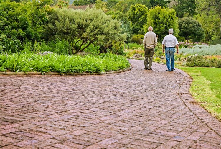 old friends, conversation, people talking, old people, friendship, chatting, talking, walking, reminiscing, remembering, strolling, sharing ideas, getting old, memories, elderly, old friends, conversation, people talking, old people, old people, old people, old people, old people, talking