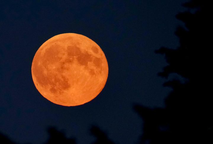 The Moonâs Mysterious Influence