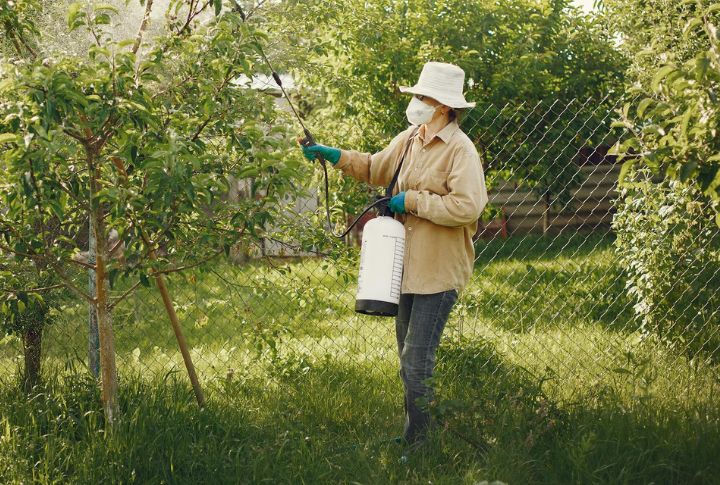 Unrestricted Use Of Pesticides