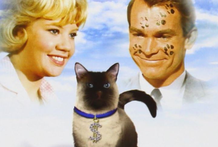 Famous Roles In Television And Film