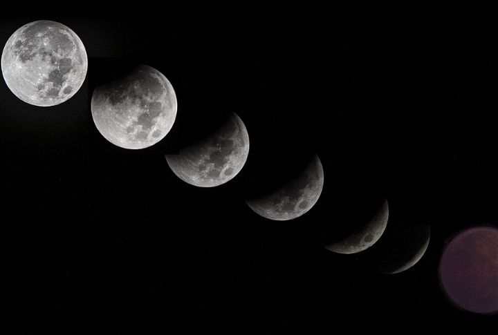 Lunar Agriculture Is Gaining Ground